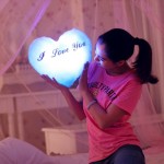 Heart Pillow Manufacturer - Wholesale Appeasing