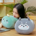 Animal Blanket Manufacturer - 3 in 1 Cartoon