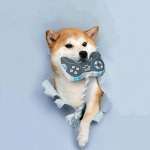 Pet Plush Toy Factory - Game Controller Birthday Gift