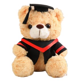 Bear Plush Doll Manufacturer - Cute Doctor Graduation Gift