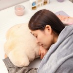 Plush Cushion Manufacturer - High Quality Bread Croissant