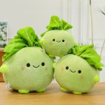 Vegetable Plush Doll Factory - New Design Big Head PP
