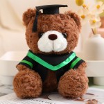 Bear Plush Doll Manufacturer - Cute Doctor Graduation Gift