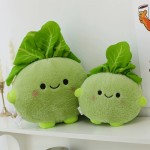 Vegetable Plush Doll Factory - New Design Big Head PP
