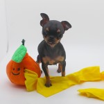 Plush Dog Toy Factory - Funny Interactive Custom