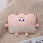Plush Cushion Factory - New Arrival Cheese Birthday