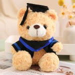 Bear Plush Doll Manufacturer - Cute Doctor Graduation Gift