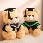 Bear Plush Doll Manufacturer - Cute Doctor Graduation Gift