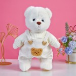 Teddy Bear Manufacturer - Creative Custom Hikuma Clothes