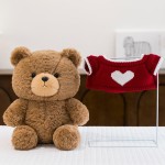 Teddy Bear Plush Factory - High Quality Cotton Hoodie