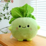 Vegetable Plush Doll Factory - New Design Big Head PP