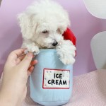 Pet Plush Toy Manufacturer - Hot Selling Korean Custom