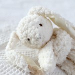 Soothing Towel Manufacturer - Wholesale Cute Little Rabbit