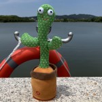 Talking Cactus Manufacturer - Interactive Plush Toy Sings Dances
