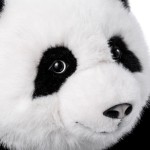 AI Music Toy Manufacturer - Interactive Composer Rhythm Teaching