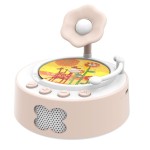 Educational Toy Manufacturer - Pre-recorded Sound Learning Machine