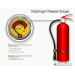 Manometer Manufacturer - Diaphragm Pressure Gauge