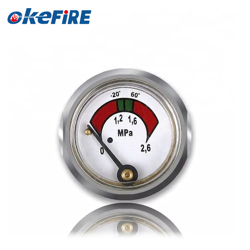Pressure Gauge Supplier - Brass Diaphragm Fire