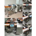 Belt Checkweigher Manufacturer - High Precision Daily Automatic