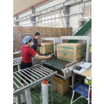 Electronic Detector Manufacturer - 1 Year Warranty Garment