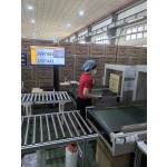 Industrial Detector Manufacturer - Shoes Conveyor Belt Textile