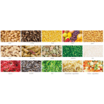 Color Sorter Manufacturer - Mini Affordable Food Material