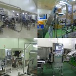 Food Scanner Manufacturer - X-Ray Metal Contaminant Detection
