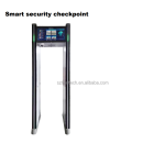 Security Gate Manufacturer - AI Intelligent Detection Precision