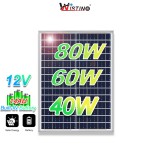 Renewable Energy Supplier - 40W 60W 80W Solar Components