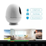 Indoor CCTV Supplier - 1080P PIR Tuya Home Security