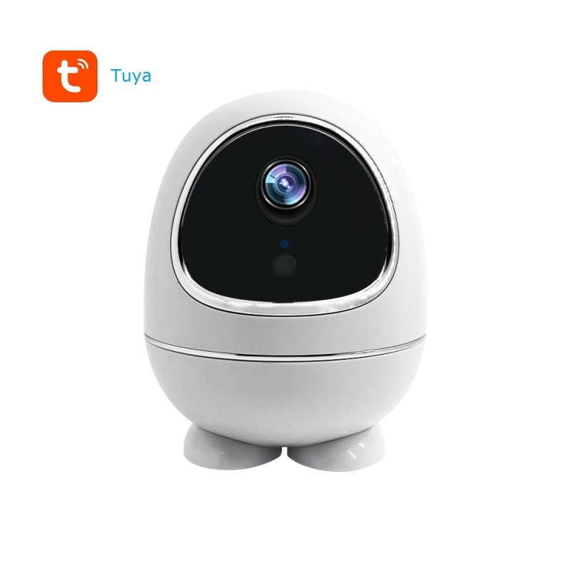 Indoor CCTV Supplier - 1080P PIR Tuya Home Security