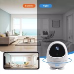 Indoor CCTV Supplier - 1080P PIR Tuya Home Security