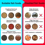 Fish Feeder Camera Manufacturer - 4MP Wifi Cloud Storage