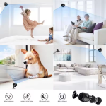 Wireless Camera Manufacturer - A9 Mini 150mAh Remote