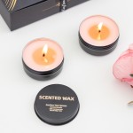Scented Candles Manufacturer - 1 4oz Strong Aromatherapy in Travel Tin Jars