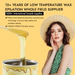 Hair Removal Wax Supplier - Wholesale Strawberry Painless Soft for Body Leg