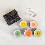 Soy Wax Candle Kit Factory - 2025 Hot Sale DIY Complete with Multi Functional