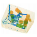 X-ray Scanner Manufacturer - High Resolution Dual Energy