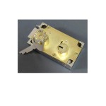 Dual Lock Manufacturer - DT-2Dual Key Guard Client