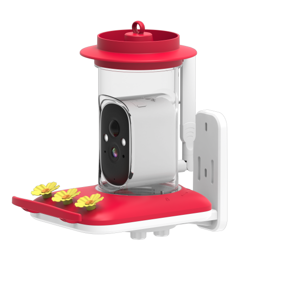 Bird Feeder Manufacturer - 5MP HD AI Bird Detection