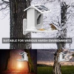 Bird Feeder Manufacturer - Smart Camera Real-time Watching
