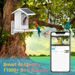 Bird Feeder Manufacturer - Smart Camera Real-time Watching