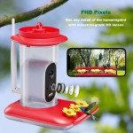 Bird Feeder Manufacturer - 5MP HD AI Bird Detection
