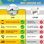 Bird Feeder Manufacturer - Acrylic Built-in WiFi Camera