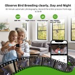 Smart Birdhouse Manufacturer - 5MP 2.5K Full HD
