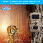 Trail Camera Manufacturer - 16MP 8K 4G LTE Hunting