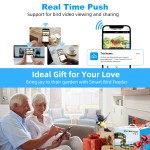 Bird Feeder Manufacturer - 5MP HD AI Species Recognition