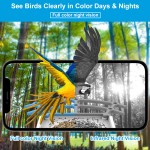 Smart Bird Feeder Manufacturer - 5MP Ultra HD Night