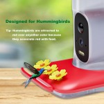 Bird Feeder Manufacturer - 5MP HD AI Bird Detection