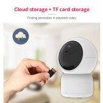 PTZ Camera Manufacturer - 3MP Tuya Motion Detection